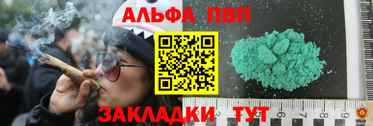 Alfa_PVP СК КРИС Ставрополь
