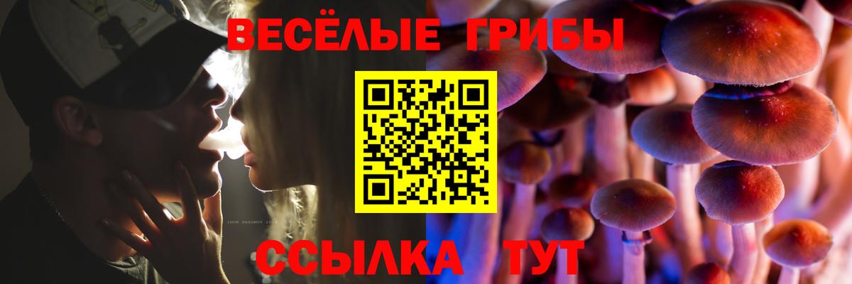 Ставрополь  Галлюциногенные грибы Magic Shrooms  Вход с VPN 