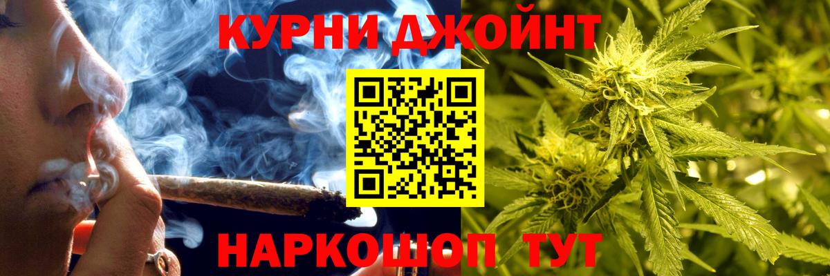 Марихуана сатива Ставрополь